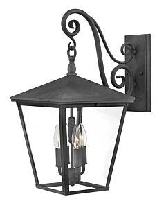 Large Wall Mount Lantern